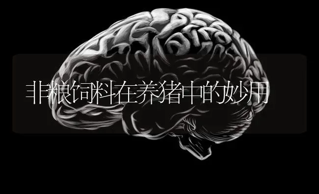 非粮饲料在养猪中的妙用 | 家畜养殖