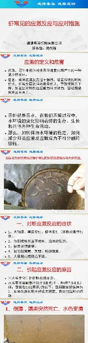 南美白对虾常见的应激反应与应对措施