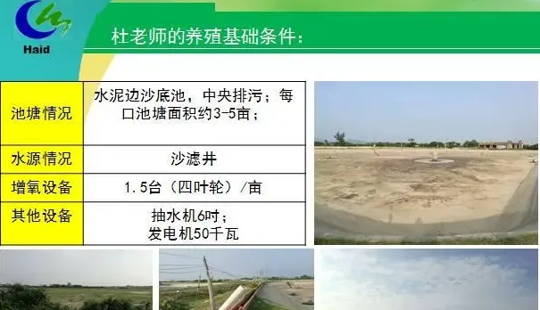 海南东方市四更镇冬造对虾高产养殖模式