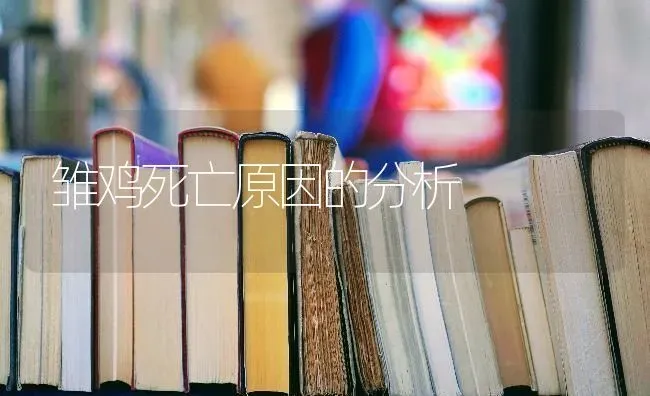 雏鸡死亡原因的分析 | 家禽养殖