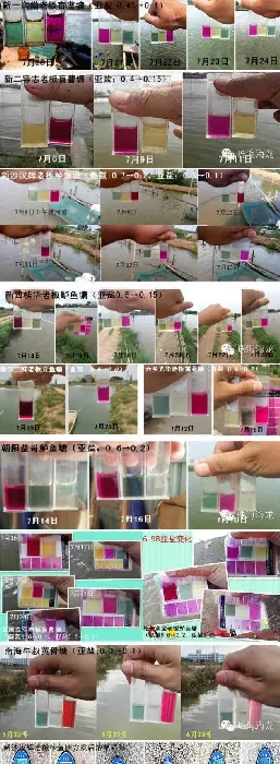 底倍康降解池塘亚硝酸盐效果展示