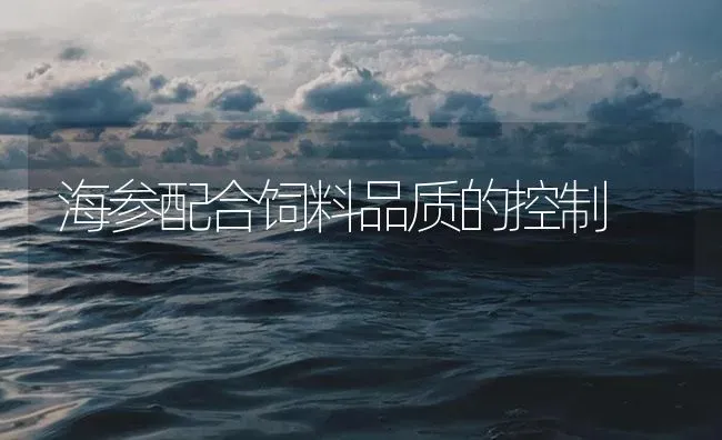 海参配合饲料品质的控制 | 海水养殖