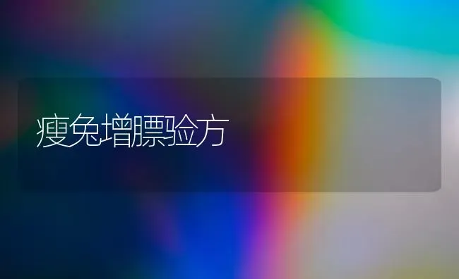 瘦兔增膘验方 | 淡水养殖