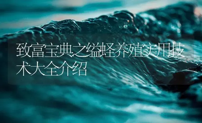 致富宝典之缢蛏养殖实用技术大全介绍 | 海水养殖
