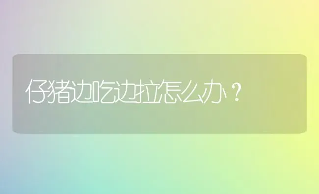 仔猪边吃边拉怎么办？ | 家畜养殖