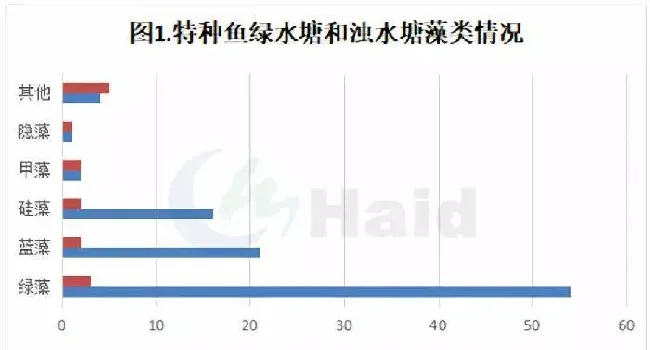 水浊、水浑、透明度低，这样养特种鱼哪行！这个方法让水质快速变好