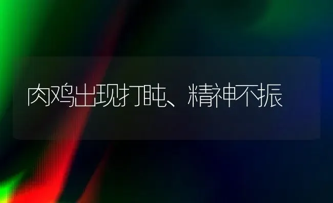 肉鸡出现打盹、精神不振 | 家禽养殖