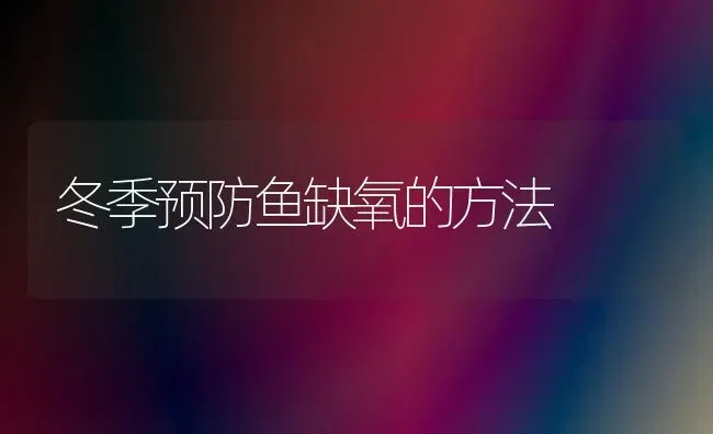 冬季预防鱼缺氧的方法 | 淡水养殖