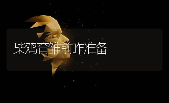 柴鸡育雏前咋准备 | 家禽养殖