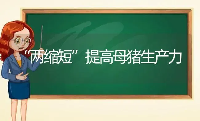 “两缩短”提高母猪生产力 | 家畜养殖