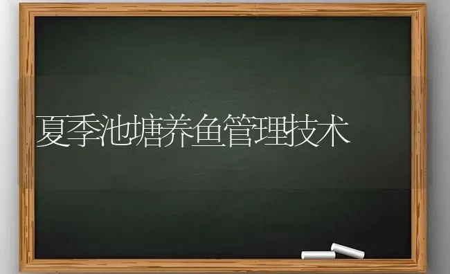 夏季池塘养鱼管理技术 | 淡水养殖