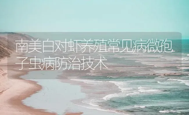 南美白对虾养殖常见病微孢子虫病防治技术 | 海水养殖