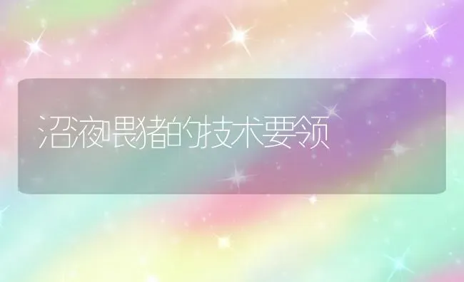 沼液喂猪的技术要领 | 家畜养殖