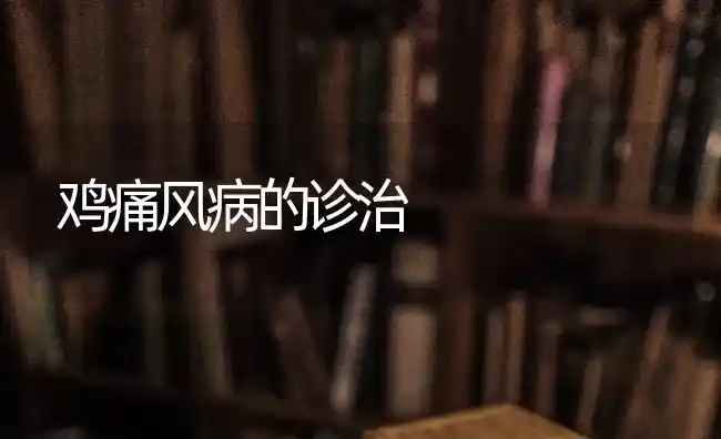 鸡痛风病的诊治 | 家禽养殖
