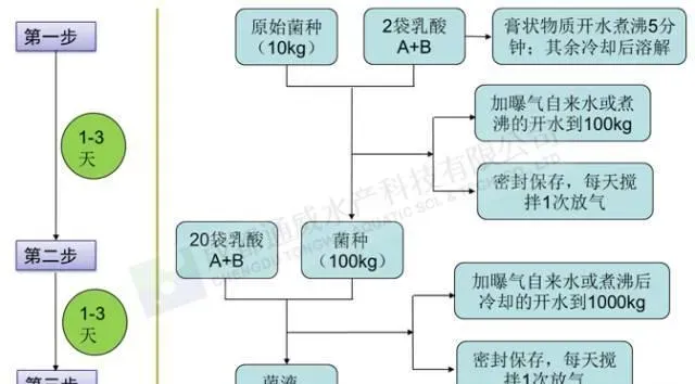 通威乳酸菌塘口简易扩培方法