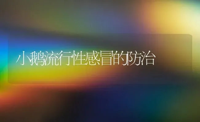 小鹅流行性感冒的防治 | 家禽养殖