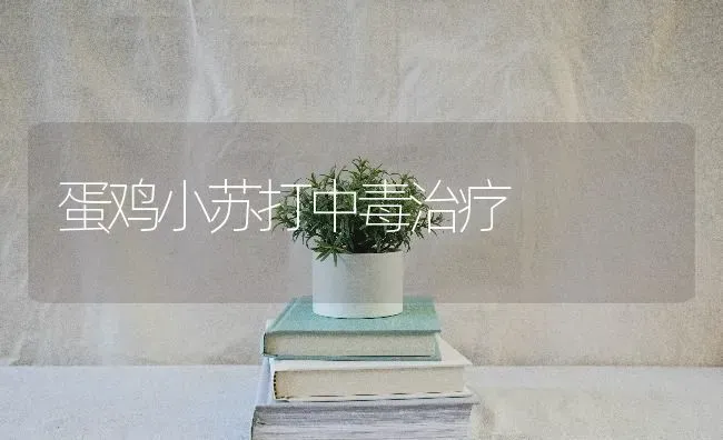 蛋鸡小苏打中毒治疗 | 家禽养殖