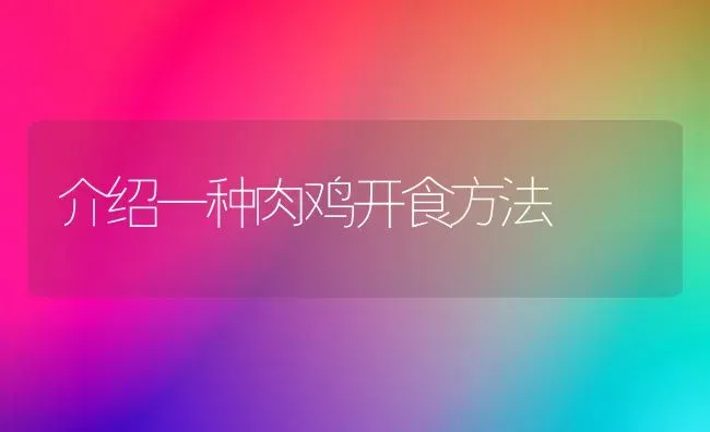 介绍一种肉鸡开食方法 | 家禽养殖