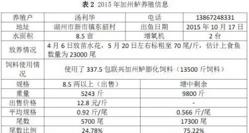 全程饲料养殖加州鲈的一个全新佳绩纪录分享