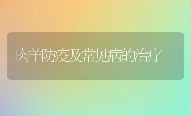 肉羊防疫及常见病的治疗 | 家畜养殖