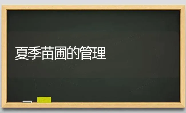 春季仔猪饲养技术应该“一喂四补” | 家畜养殖