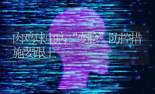 肉鸡球虫病“变脸”防控措施要跟上 | 家禽养殖