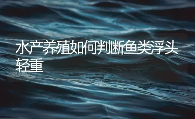 水产养殖如何判断鱼类浮头轻重 | 养殖病虫害防治