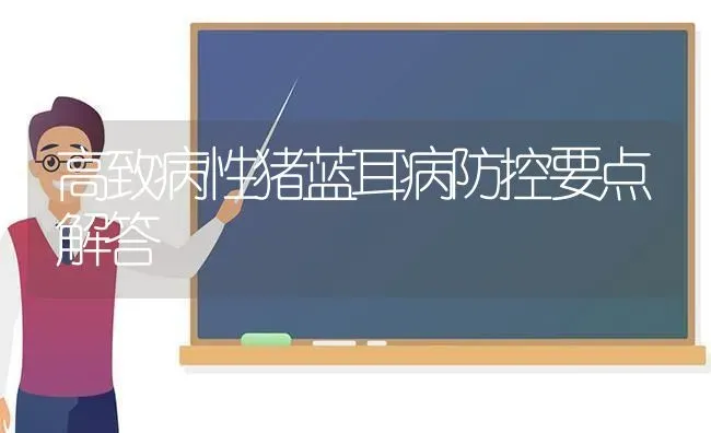 高致病性猪蓝耳病防控要点解答 | 家畜养殖