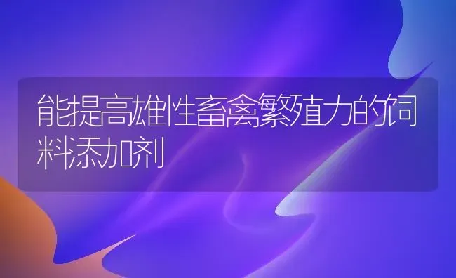 能提高雄性畜禽繁殖力的饲料添加剂 | 动物养殖饲料