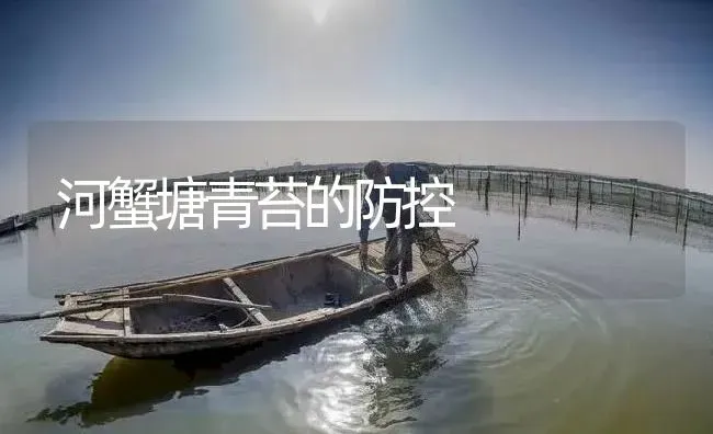 河蟹塘青苔的防控 | 淡水养殖