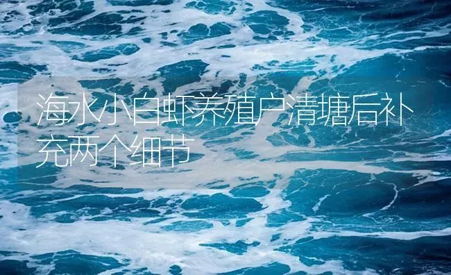 海水小白虾养殖户清塘后补充两个细节 | 海水养殖