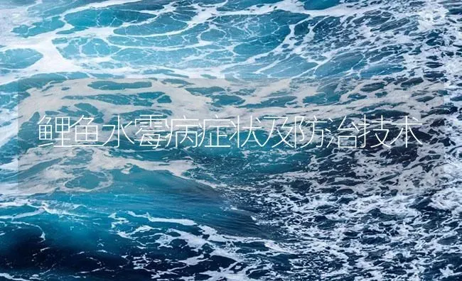 鲤鱼水霉病症状及防治技术 | 养殖病虫害防治