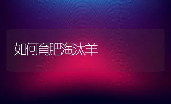 如何育肥淘汰羊 | 家畜养殖