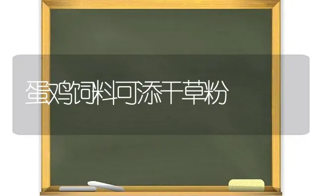 蛋鸡饲料可添干草粉 | 家禽养殖