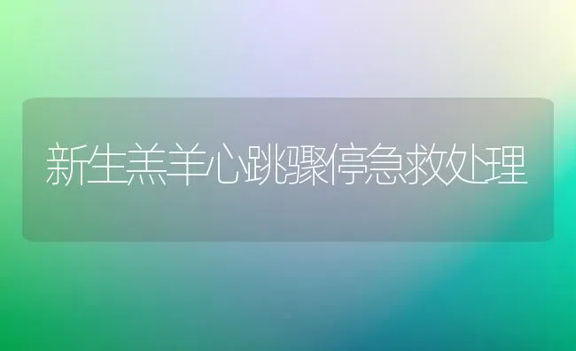 新生羔羊心跳骤停急救处理 | 家畜养殖