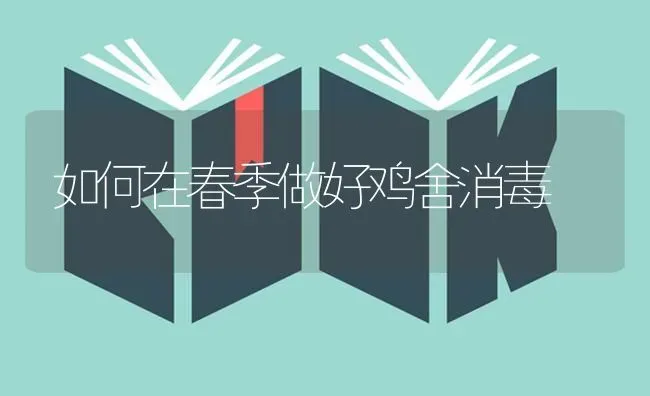 如何在春季做好鸡舍消毒 | 家禽养殖