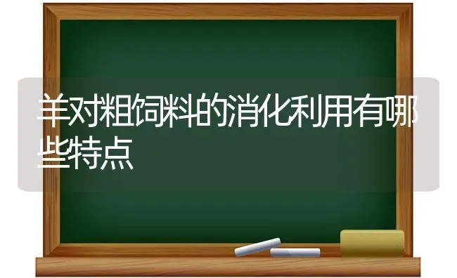 羊对粗饲料的消化利用有哪些特点 | 家畜养殖