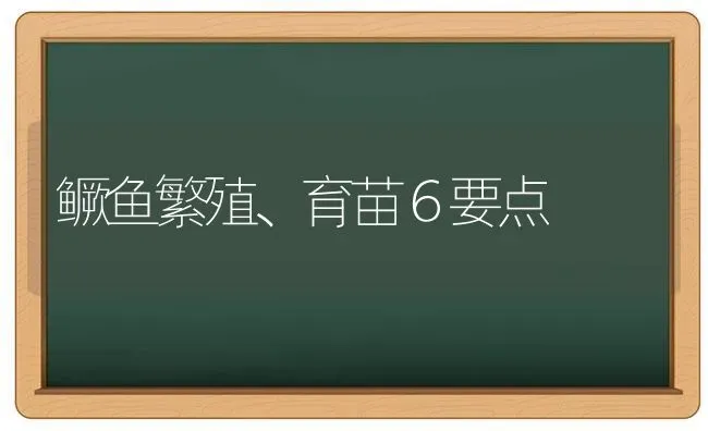 鳜鱼繁殖、育苗６要点 | 淡水养殖