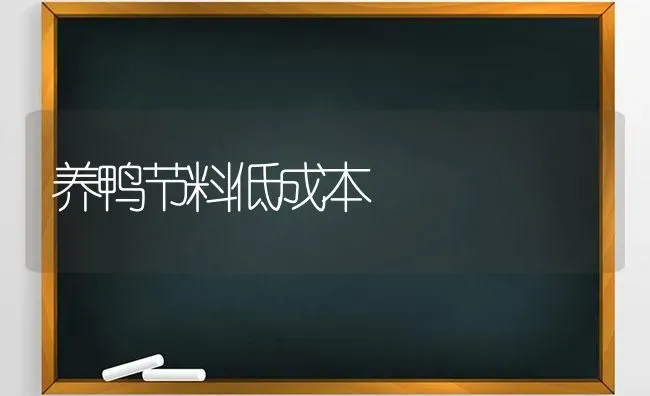 养鸭节料低成本 | 家禽养殖