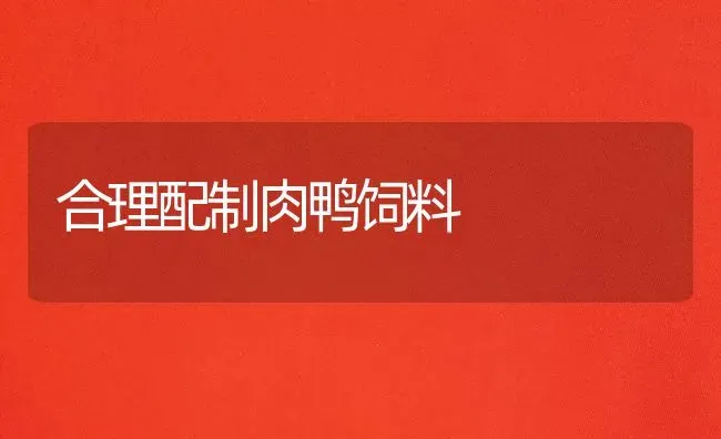 合理配制肉鸭饲料 | 家禽养殖