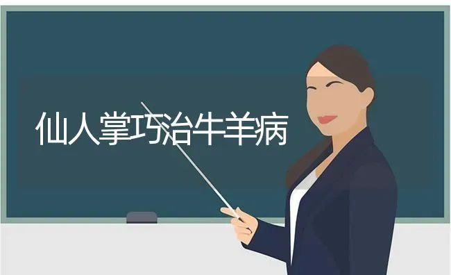 仙人掌巧治牛羊病 | 家畜养殖