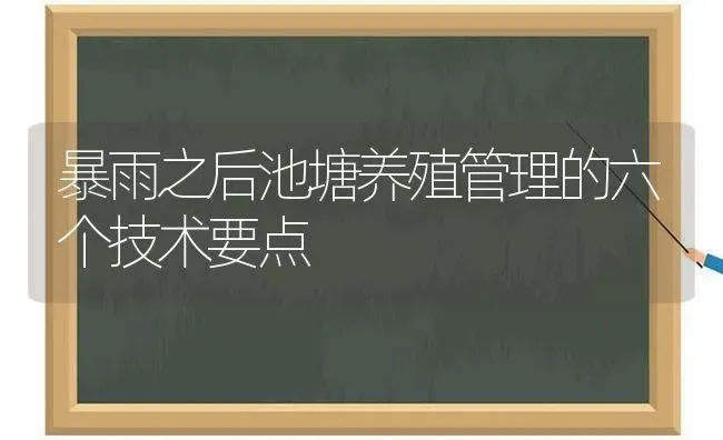 暴雨之后池塘养殖管理的六个技术要点 | 动物养殖百科