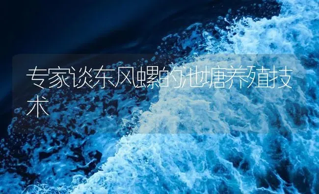 专家谈东风螺的池塘养殖技术 | 海水养殖