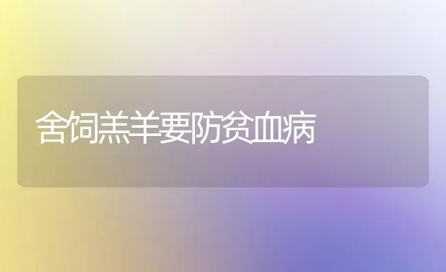 舍饲羔羊要防贫血病 | 家畜养殖