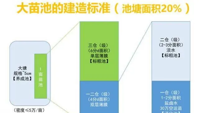 这些对虾养殖户做对了什么，外塘也有这么高成功率？