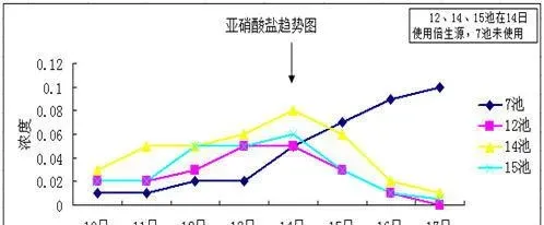 强力倍生源在南美白对虾塘中的使用效果分享