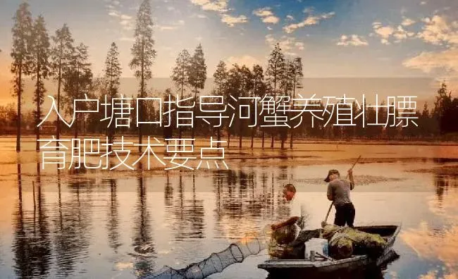 入户塘口指导河蟹养殖壮膘育肥技术要点 | 淡水养殖