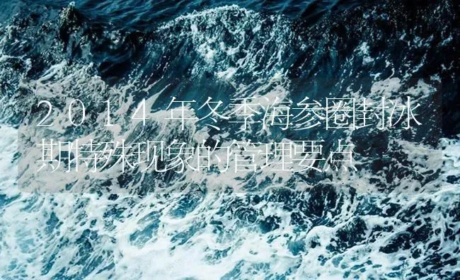 2014年冬季海参圈封冰期特殊现象的管理要点 | 海水养殖