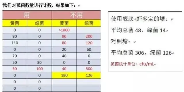 靓底+虾多宝/倍生源组合强效抑制对虾塘弧菌效果展示