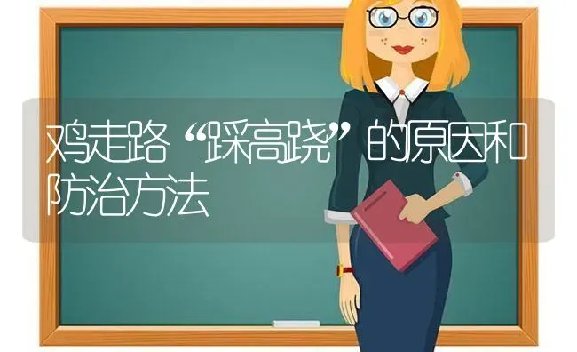 鸡走路“踩高跷”的原因和防治方法 | 家禽养殖